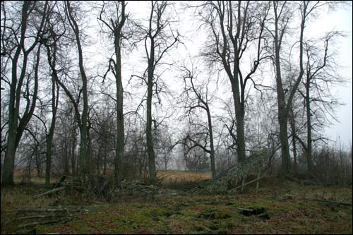 Zapole (Niedźwiedzica). Krajobrazy 