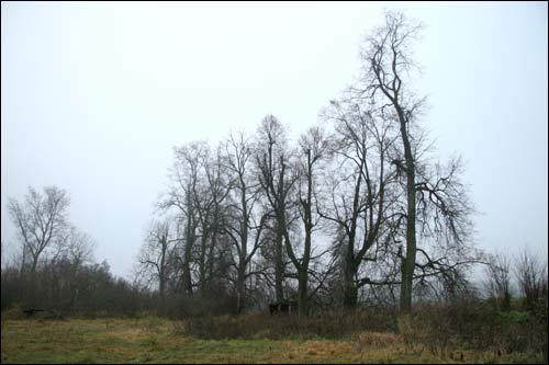 Zapole (Niedźwiedzica). Krajobrazy 