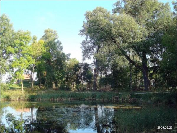 Liubavas. Manor