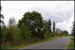 Paszkowszczyzna.  Park dworski 