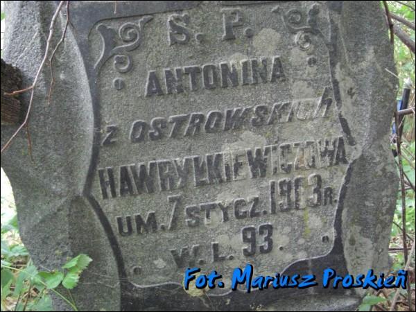  - cemetery Old Catholic. 