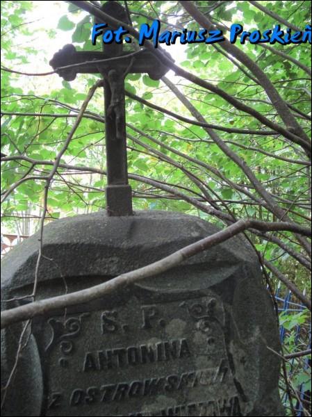  - cemetery Old Catholic. 
