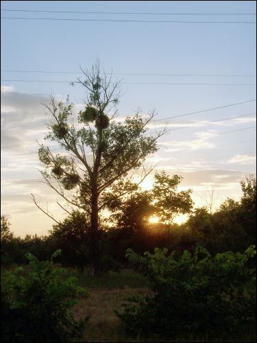 Kažan-Haradok. Landscapes 