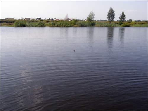 Полесский (Кристиново). Пейзажи 