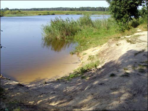Полесский (Кристиново). Пейзажи 