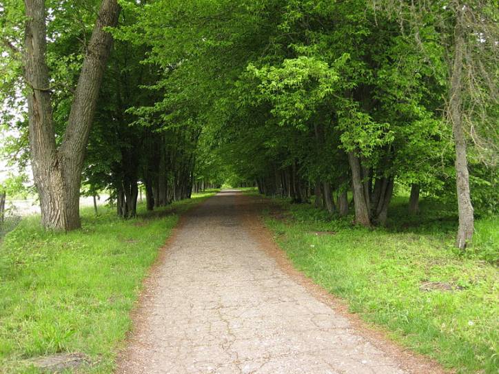  - Park dworski Korsaków. 