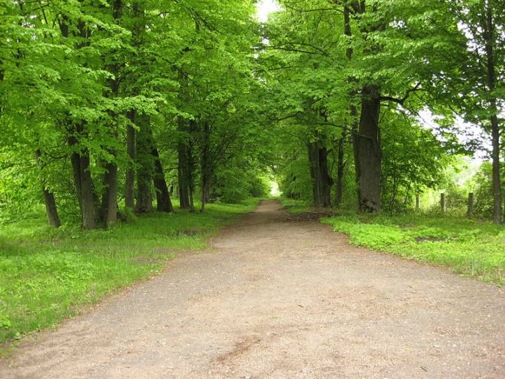  - Park dworski Korsaków. 