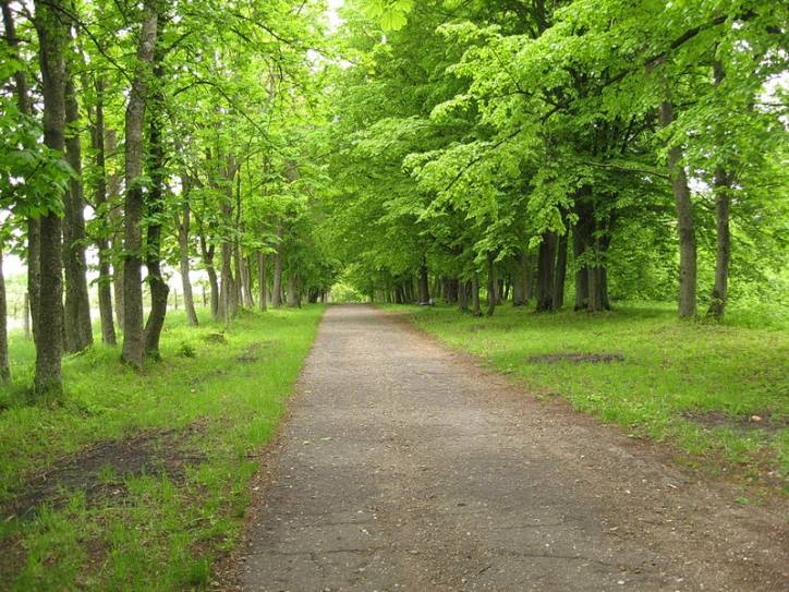  - Park dworski Korsaków. 