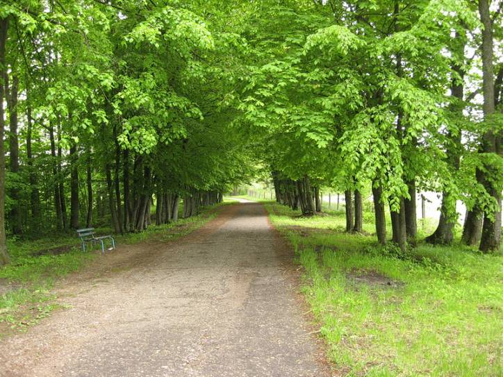 Žukoŭščyna.  Manor park of the Korsak former Manor