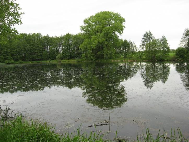 - Park dworski Korsaków. 