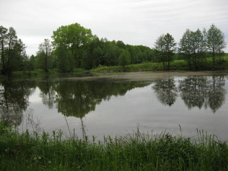  - Park dworski Korsaków. 