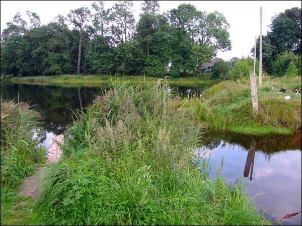  - Краявіды . Возера. Выгляд з паўночна-заходняга боку. Лета 2009