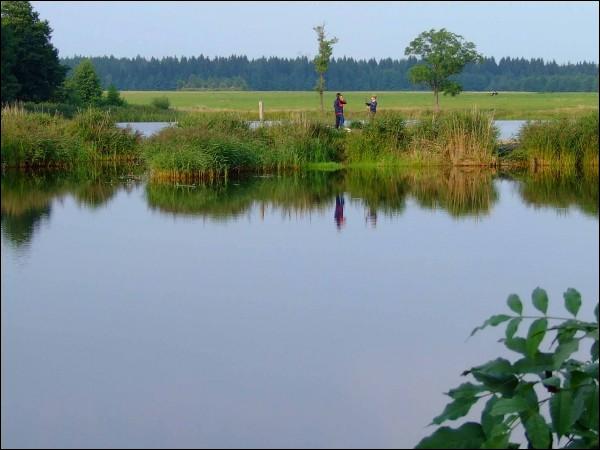  - Краявіды . Возера. Выгляд з заходняга боку. Лета 2009