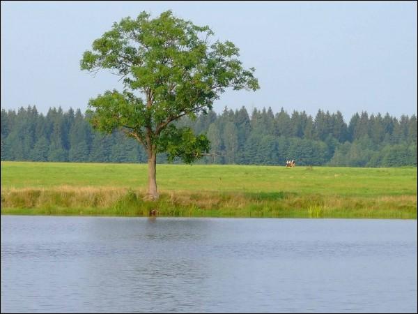  - Краявіды . Возера. Выгляд з заходняга боку. Лета 2009