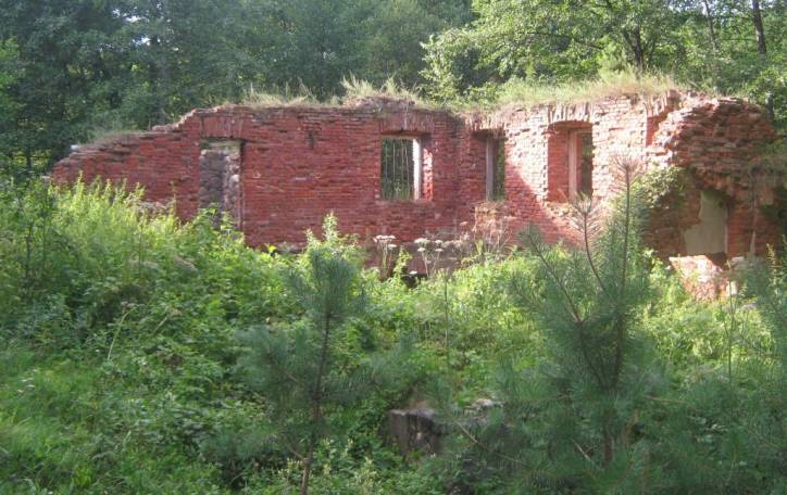 Łaŭskija. Water-mill (ruins)