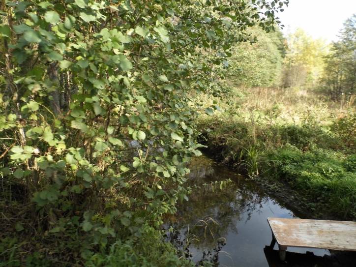  - Краявіды . .Марцули находится буквально в 1 км. от Зеневич-умирающая и когда-то красивая деревня с остатками старых домов,деревьями,выросшими на фундаменте,все той же Плисой и разрушенным кирпичным заводиком,на столах которого я еще по детству помню лежал необожженный кирпич...ОЧЕНЬ ХОЧУ ПОПРОСИТЬ МОДЕРАТОРОВ-ДОБАВЬТЕ ПОЖАЛУЙСТА МАРЦУЛИ В СПИСОК ДЕРЕВЕНЬ НОВОГРУДСКОГО Р-НА-У МЕНЯ САМОСТОЯТЕЛЬНО НЕ ПОЛУЧИЛОСЬ