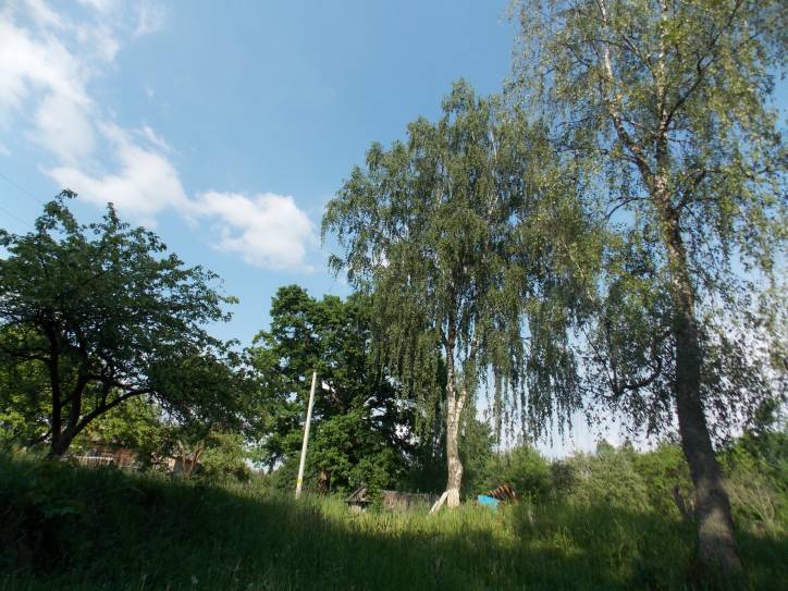  - Краявіды . .Марцули находится буквально в 1 км. от Зеневич-умирающая и когда-то красивая деревня с остатками старых домов,деревьями,выросшими на фундаменте,все той же Плисой и разрушенным кирпичным заводиком,на столах которого я еще по детству помню лежал необожженный кирпич...ОЧЕНЬ ХОЧУ ПОПРОСИТЬ МОДЕРАТОРОВ-ДОБАВЬТЕ ПОЖАЛУЙСТА МАРЦУЛИ В СПИСОК ДЕРЕВЕНЬ НОВОГРУДСКОГО Р-НА-У МЕНЯ САМОСТОЯТЕЛЬНО НЕ ПОЛУЧИЛОСЬ