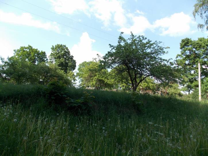  - Краявіды . .Марцули находится буквально в 1 км. от Зеневич-умирающая и когда-то красивая деревня с остатками старых домов,деревьями,выросшими на фундаменте,все той же Плисой и разрушенным кирпичным заводиком,на столах которого я еще по детству помню лежал необожженный кирпич...ОЧЕНЬ ХОЧУ ПОПРОСИТЬ МОДЕРАТОРОВ-ДОБАВЬТЕ ПОЖАЛУЙСТА МАРЦУЛИ В СПИСОК ДЕРЕВЕНЬ НОВОГРУДСКОГО Р-НА-У МЕНЯ САМОСТОЯТЕЛЬНО НЕ ПОЛУЧИЛОСЬ