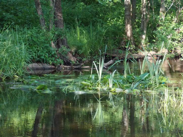  - Краявіды . .Марцули находится буквально в 1 км. от Зеневич-умирающая и когда-то красивая деревня с остатками старых домов,деревьями,выросшими на фундаменте,все той же Плисой и разрушенным кирпичным заводиком,на столах которого я еще по детству помню лежал необожженный кирпич...ОЧЕНЬ ХОЧУ ПОПРОСИТЬ МОДЕРАТОРОВ-ДОБАВЬТЕ ПОЖАЛУЙСТА МАРЦУЛИ В СПИСОК ДЕРЕВЕНЬ НОВОГРУДСКОГО Р-НА-У МЕНЯ САМОСТОЯТЕЛЬНО НЕ ПОЛУЧИЛОСЬ