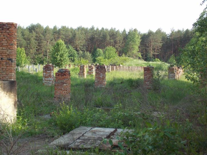  - Краявіды . .Марцули находится буквально в 1 км. от Зеневич-умирающая и когда-то красивая деревня с остатками старых домов,деревьями,выросшими на фундаменте,все той же Плисой и разрушенным кирпичным заводиком,на столах которого я еще по детству помню лежал необожженный кирпич...ОЧЕНЬ ХОЧУ ПОПРОСИТЬ МОДЕРАТОРОВ-ДОБАВЬТЕ ПОЖАЛУЙСТА МАРЦУЛИ В СПИСОК ДЕРЕВЕНЬ НОВОГРУДСКОГО Р-НА-У МЕНЯ САМОСТОЯТЕЛЬНО НЕ ПОЛУЧИЛОСЬ