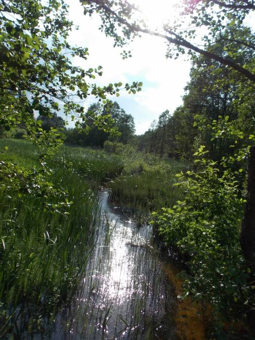  - Краявіды . .Марцули находится буквально в 1 км. от Зеневич-умирающая и когда-то красивая деревня с остатками старых домов,деревьями,выросшими на фундаменте,все той же Плисой и разрушенным кирпичным заводиком,на столах которого я еще по детству помню лежал необожженный кирпич...ОЧЕНЬ ХОЧУ ПОПРОСИТЬ МОДЕРАТОРОВ-ДОБАВЬТЕ ПОЖАЛУЙСТА МАРЦУЛИ В СПИСОК ДЕРЕВЕНЬ НОВОГРУДСКОГО Р-НА-У МЕНЯ САМОСТОЯТЕЛЬНО НЕ ПОЛУЧИЛОСЬ