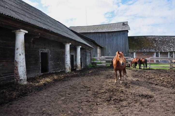 Zabrezzie. Farmstead 