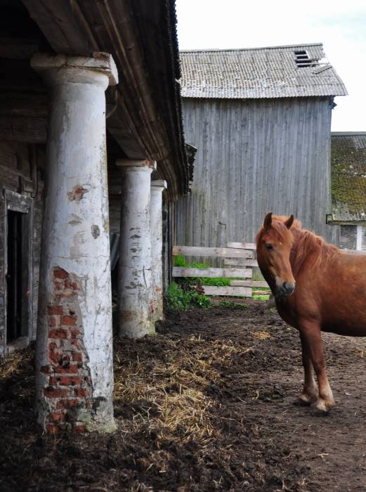 Zabrezzie. Farmstead 