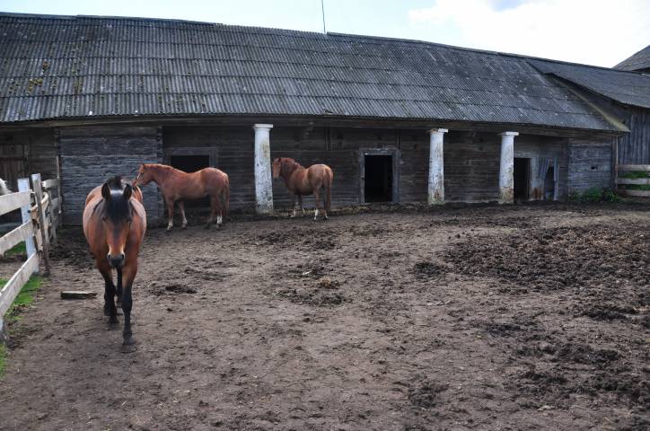 Zabrezzie. Farmstead 