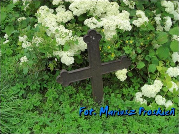  - cemetery Old Catholic. 