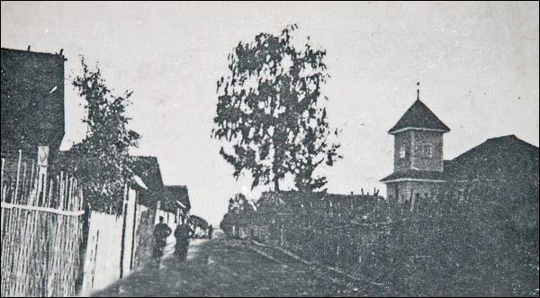 Kleck. Miasto na starych fotografiach 