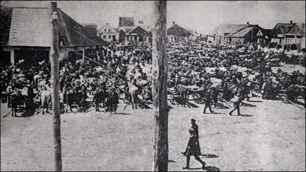 Kleck. Miasto na starych fotografiach 