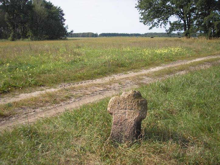 Darapiejevičy. In the village 