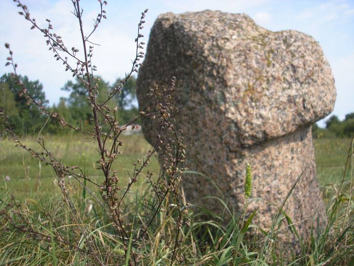 Darapiejevičy. In the village 