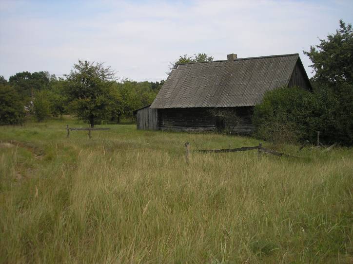 Darapiejevičy. In the village 