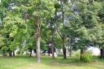 Górki.  Park dworski Magnuszewskich