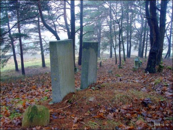 Keturiasdešimt Totorių. cemetery Village