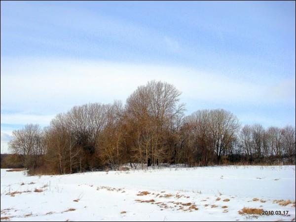 Elizabelin. Manor park 