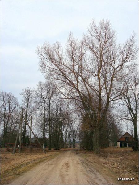  - Zespół dworsko-parkowy . 