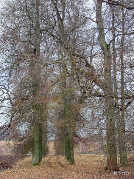  - Zespół dworsko-parkowy . 