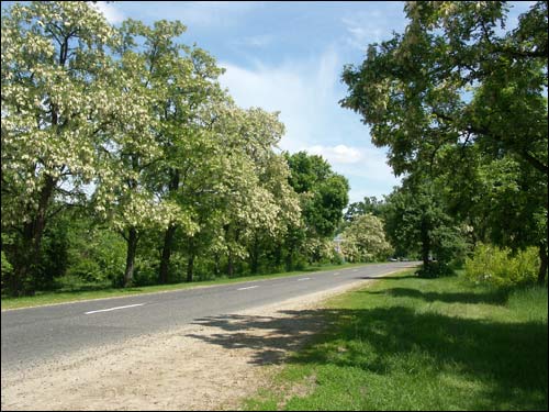 Ołtuš. Landscapes 