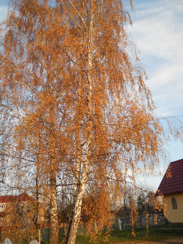Ołtuš. Landscapes 
