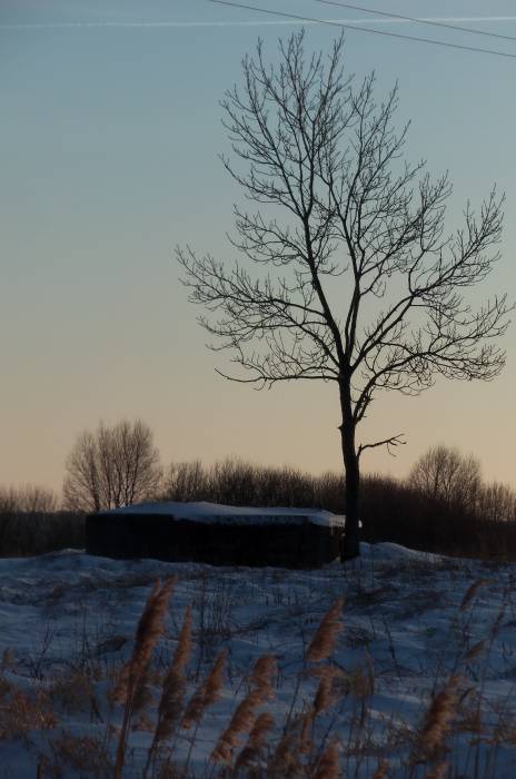 - Landscapes . 