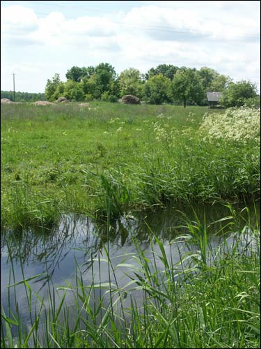 Arechava. Landscapes 