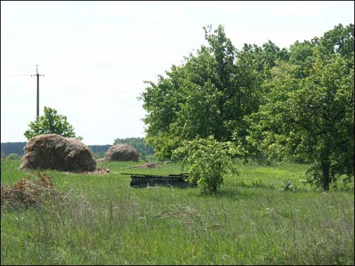 Арэхава. Краявіды 