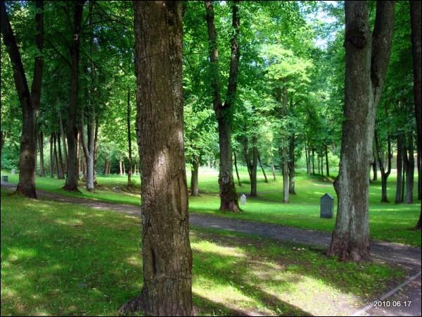 Wilno. Cmentarz wojenny z I wojny światowej 