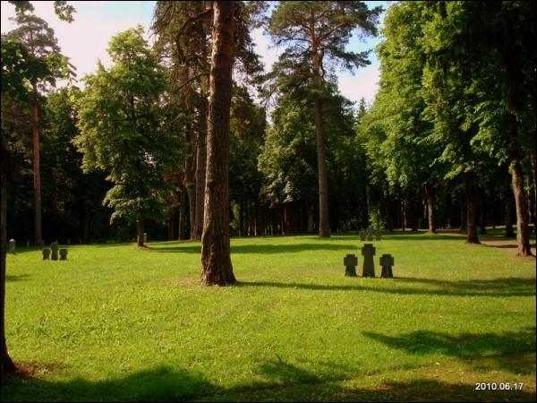 Wilno. Cmentarz wojenny z I wojny światowej 