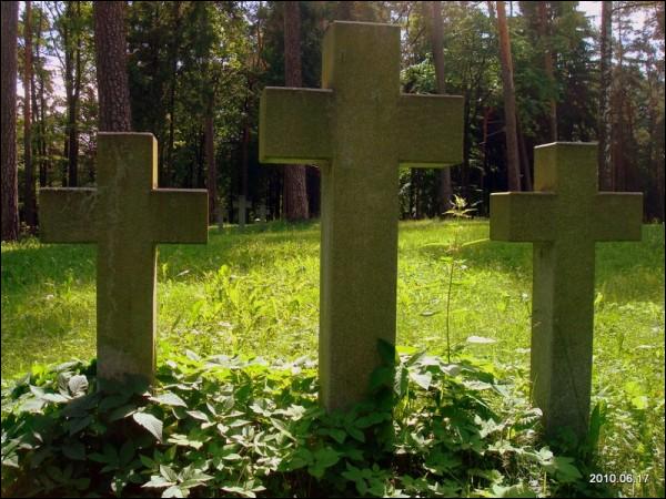 Wilno. Cmentarz wojenny z I wojny światowej 