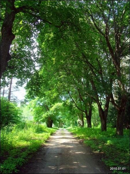  - Manor park . 