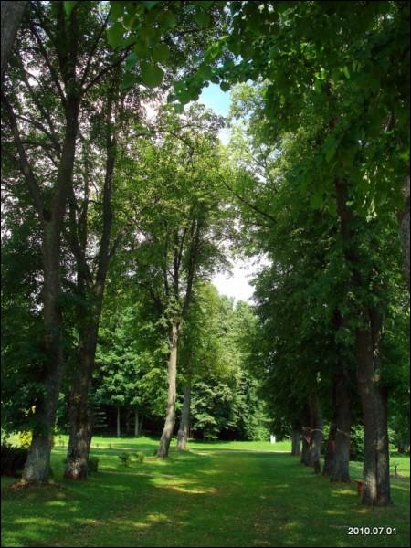  - Manor park . 