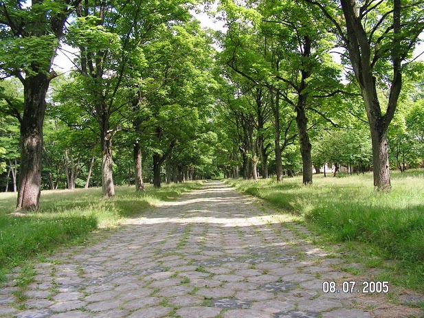 Mańkavičy. Estate of Radziwiłł